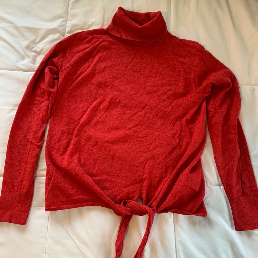 Red Cropped Turtleneck